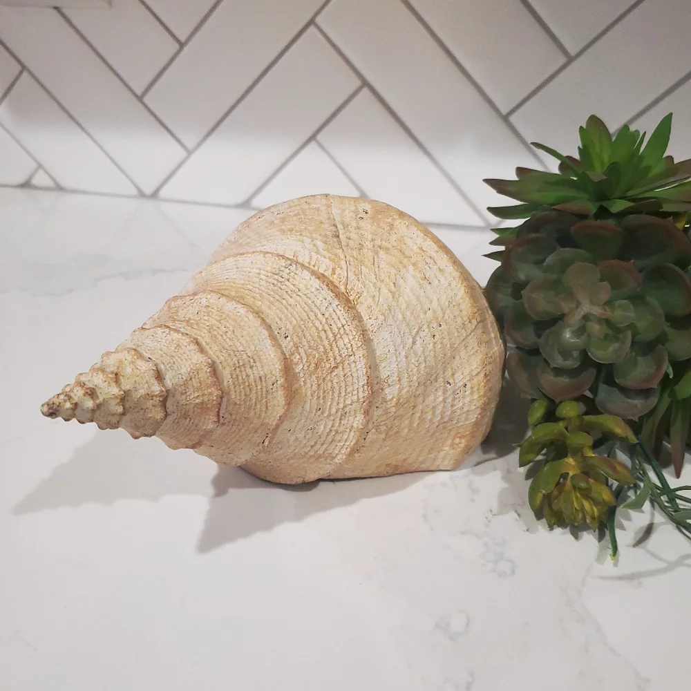 Pottery Barn Sea Shell